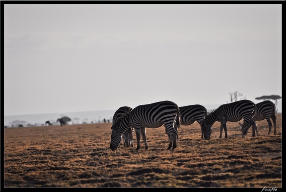 Kenya 04 Amboseli 009