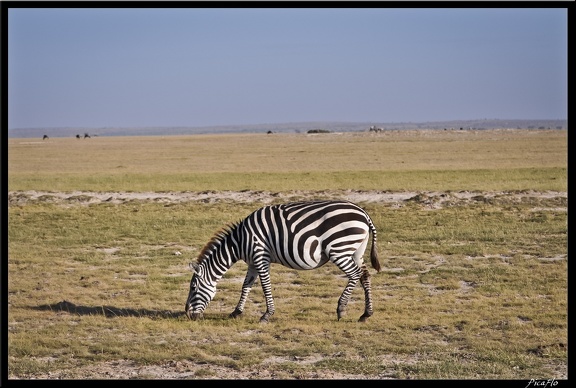 Kenya 04 Amboseli 014