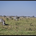 Kenya 04 Amboseli 065