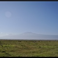 Kenya 04 Amboseli 067