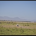 Kenya 04 Amboseli 069