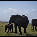 Kenya 04 Amboseli 086