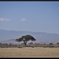 Kenya 04 Amboseli 097