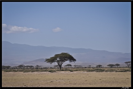 Kenya 04 Amboseli 097