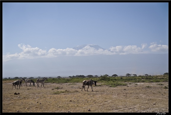 Kenya 04 Amboseli 099