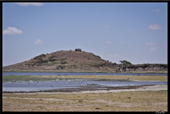 Kenya 04 Amboseli 108