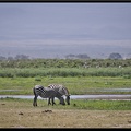 Kenya 04 Amboseli 113