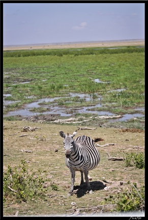Kenya 04 Amboseli 144