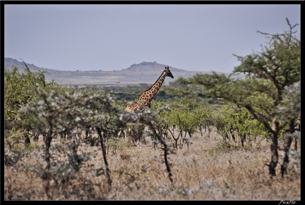 Kenya 07 Routes 024