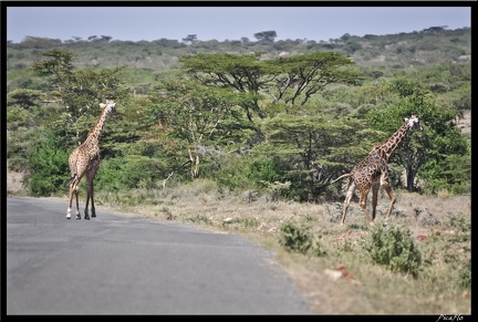 Kenya 07 Routes 025