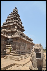 02 Mahabalipuram 024