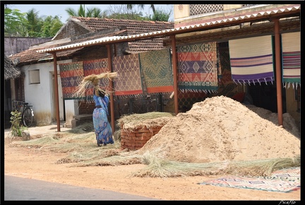 04-Kumbakonam-vers Tanjore 015