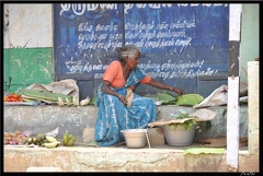 04-Kumbakonam-vers Tanjore 023