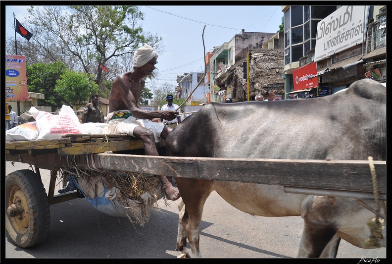 05-Tanjore_001.jpg