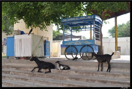 05-Tanjore 103