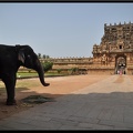 05-Tanjore 169