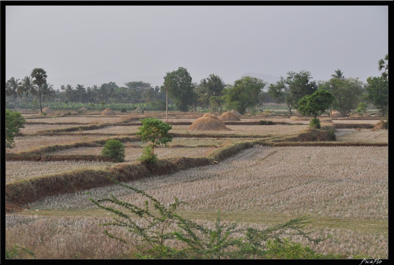 05-Tanjore_260.jpg