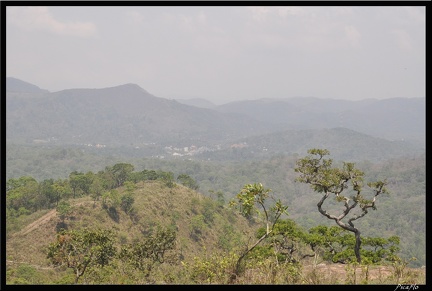 07-Kumily Thekkady Reserve de Periyar 214