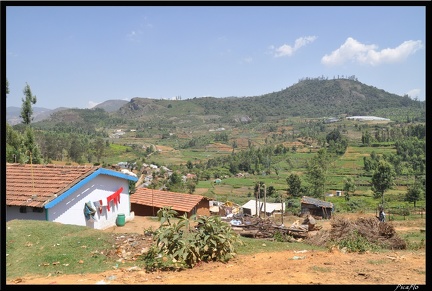 11-Ooty 123