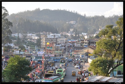 11-Ooty 204