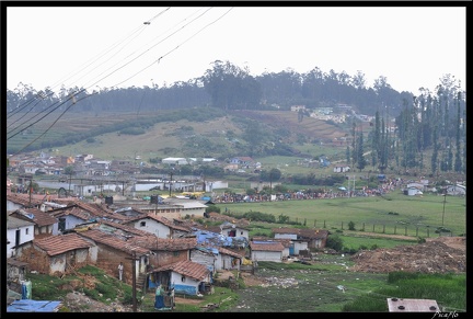 11-Ooty 314