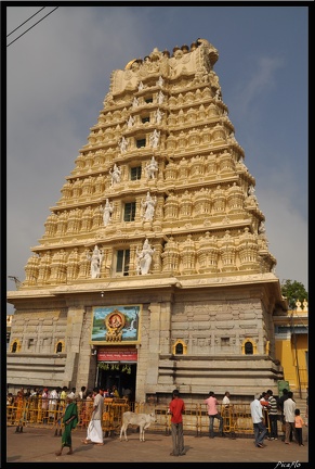 13-Mysore 315