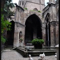 01 Barrio Gotico et la Cathedrale 056