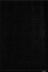 14 Xian Foret de steles 013