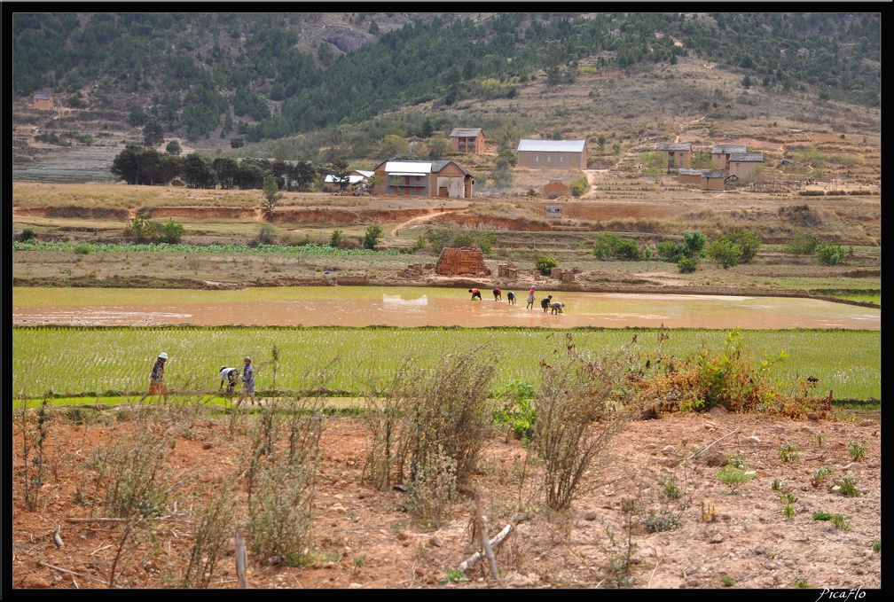 Mada 02-RN7 Antsirabe Fianarantsoa 050