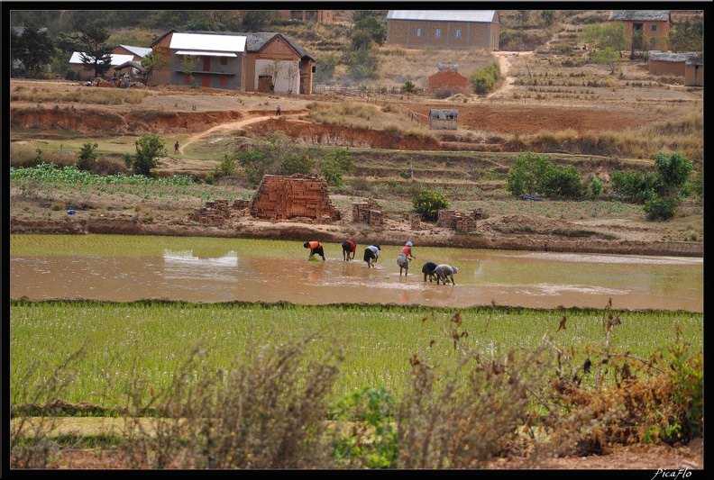 Mada_02-RN7_Antsirabe_Fianarantsoa_051.jpg