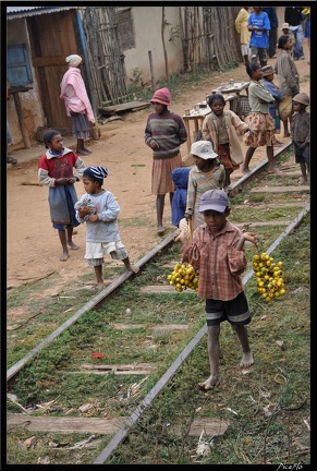 Mada 03-Fianarantsoa vers Manakara en train 044