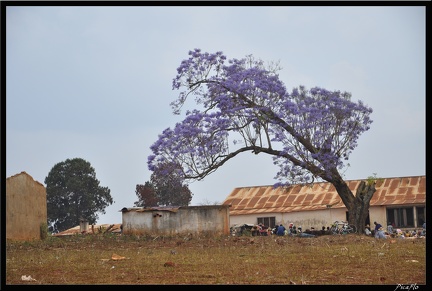 Mada 14-Ambalavao randonnee de Granit 089