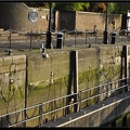 London 10 Tower bridge-Docks-City Hall 005