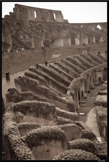 Rome 03 Colisee et Arc de Constantin 0032