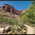 03 Grand Canyon Bright Angel trail 0066