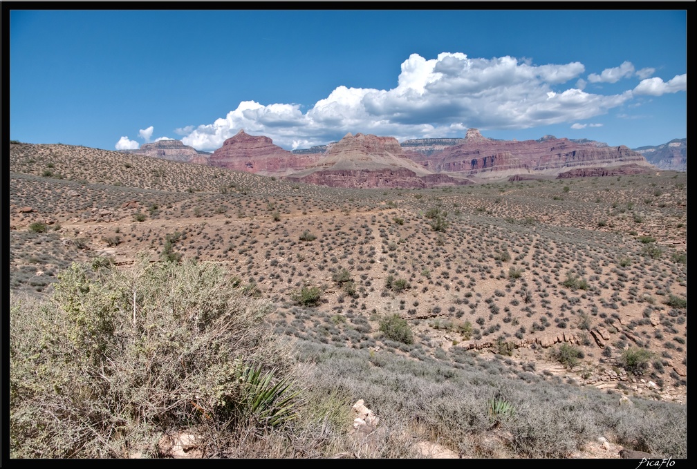 03 Grand Canyon Bright Angel trail 0075