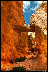 10 Bryce canyon 0008