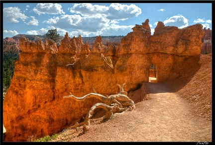 10 Bryce canyon 0013