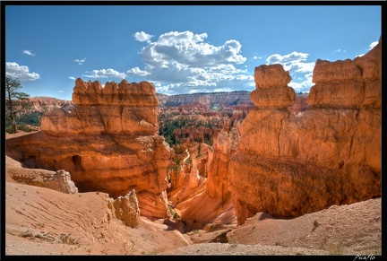 10 Bryce canyon 0015