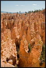 10 Bryce canyon 0044