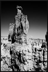 10 Bryce canyon 0061