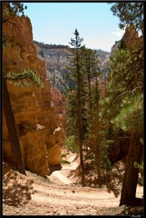 10 Bryce canyon 0071