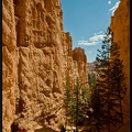 10 Bryce canyon 0088