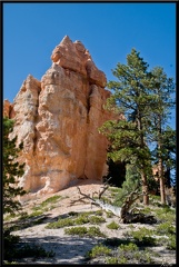 10 Bryce canyon 0109