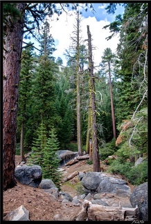 16 Yosemite Falls trail 0030