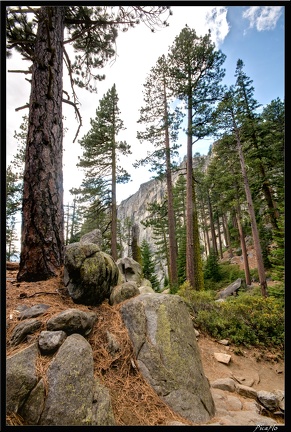 16 Yosemite Falls trail 0031