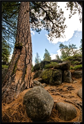 16 Yosemite Falls trail 0033