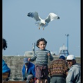 Essaouira 032