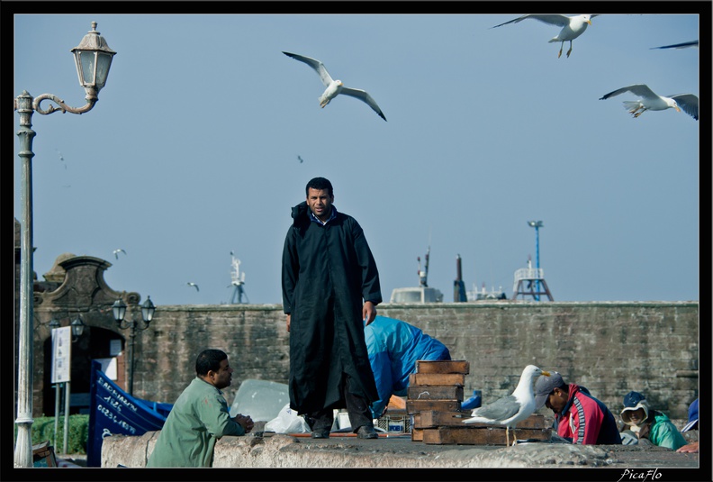 Essaouira 043