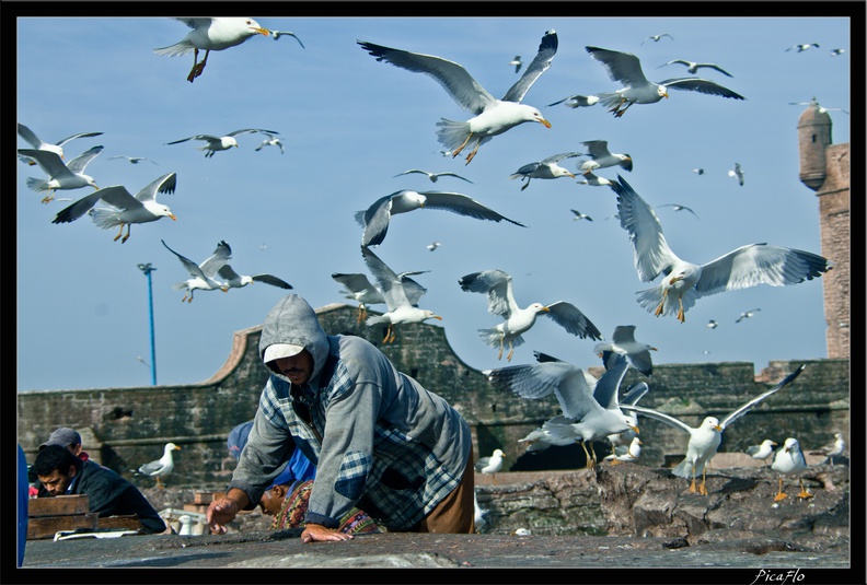 Essaouira_051.jpg